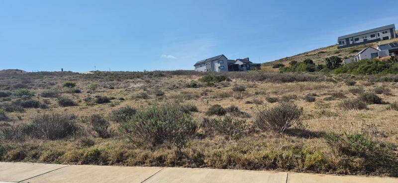 0 Bedroom Property for Sale in Outeniquasbosch Western Cape
